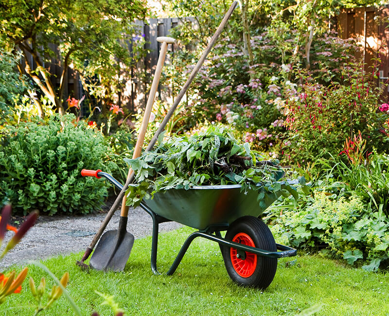 Landscape Gardening: Garden Maintenance