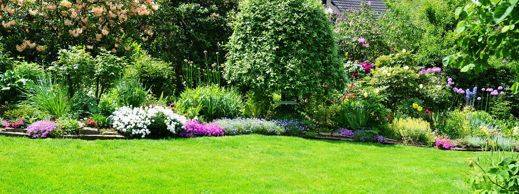Landscape Gardener: Soft Landscaping
