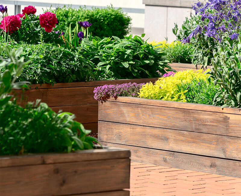 Landscape Gardening: Raised Beds