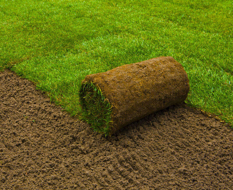 Landscape Gardening: Lawn Turfing